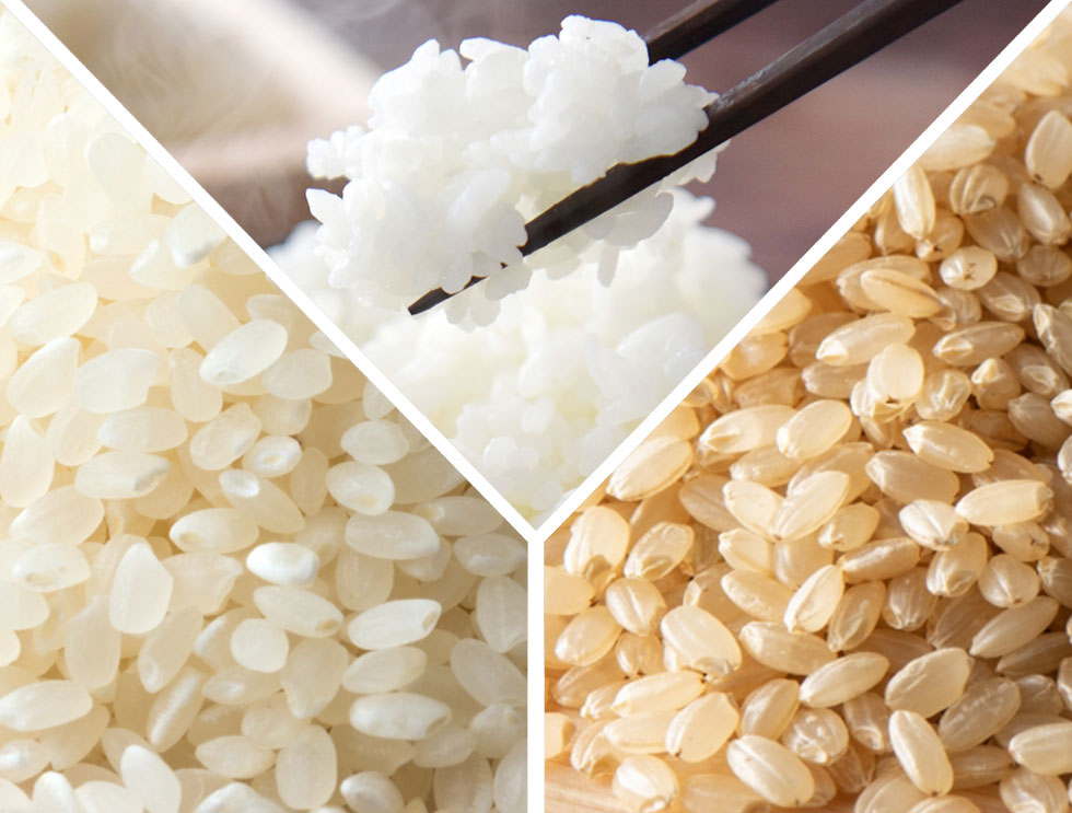 お米から／ご飯から／玄米から　調理可能