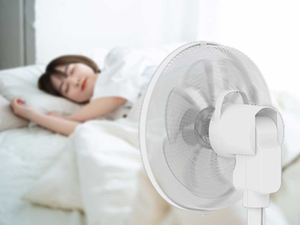 7枚羽根