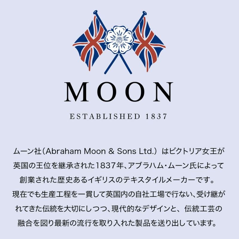 販売終了[アウトレット]MOON電気ひざ掛け110x70cmKDH-M415 