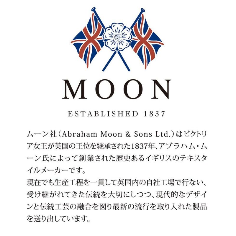 販売終了【アウトレット】MOON電気肩ひざ掛け160x70cmKDH-M494