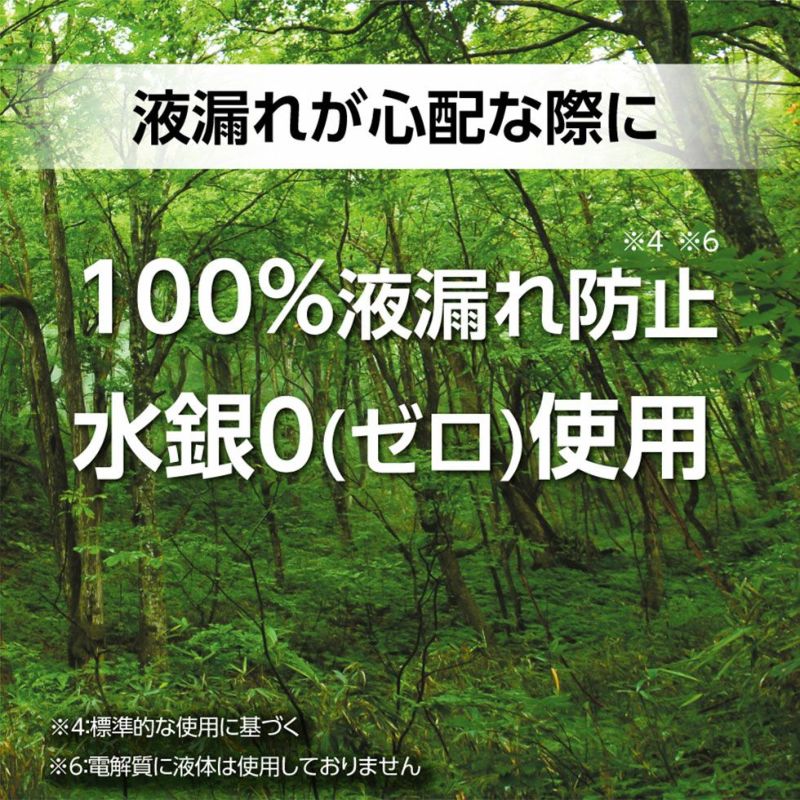 リチウム乾電池単3形 2本入LAA2PKJP | コイズミオンラインショップ