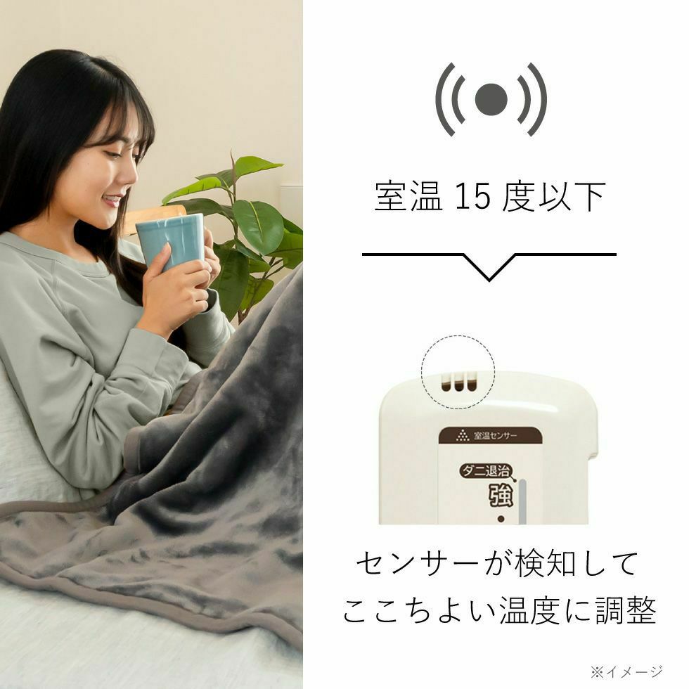 ラビットファー調電気掛敷毛布188×120cmKDK-75251R | コイズミ